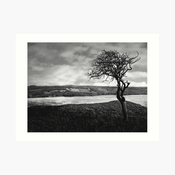 moissonnerie b&w Art Print