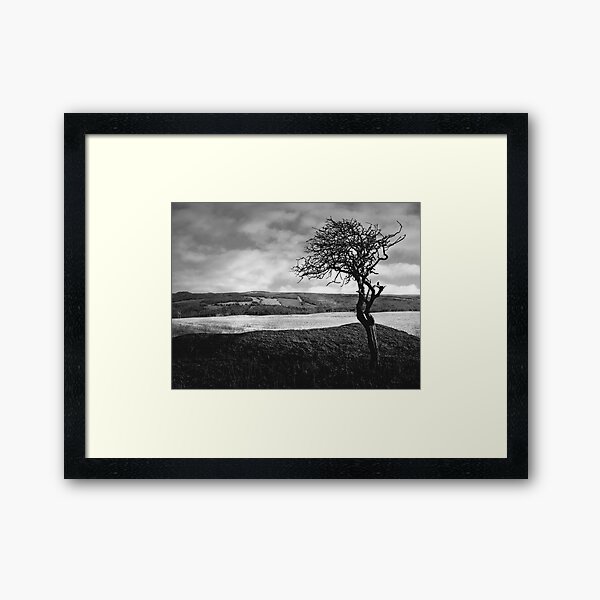 moissonnerie b&w Framed Art Print