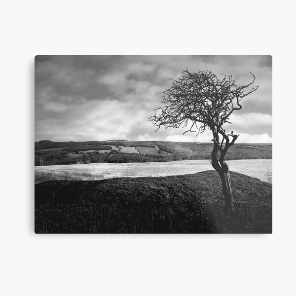 moissonnerie b&w Metal Print