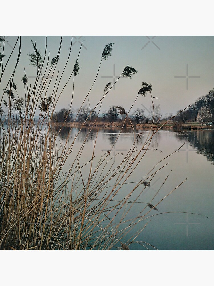 River side in Krakow by jameschaos