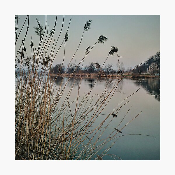River side in Krakow Photographic Print