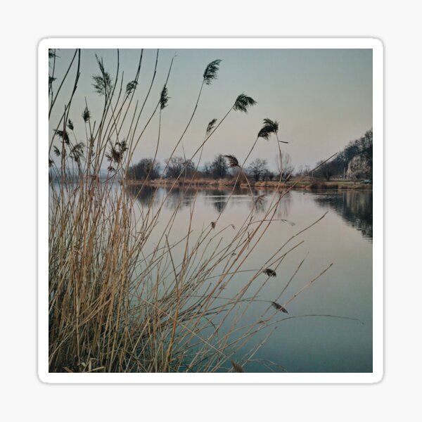 River side in Krakow Sticker