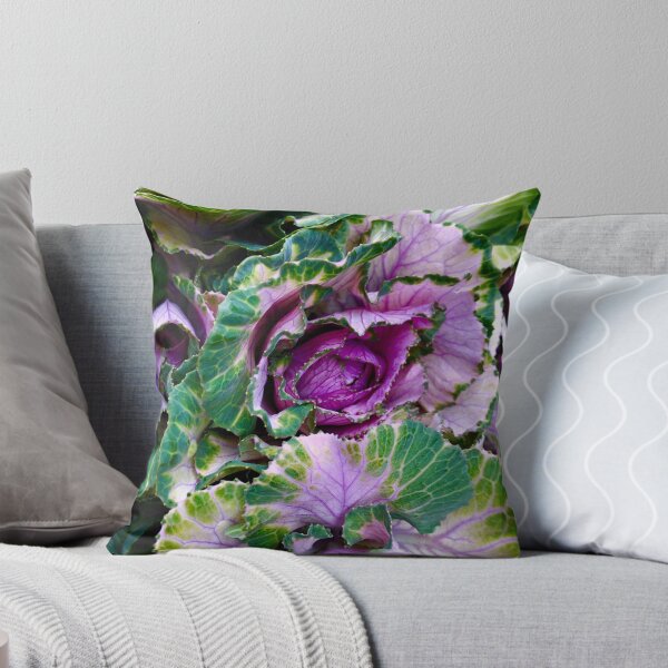 Item preview, Ornamental Pink Winter Cabbage designed and sold by BritishYank.