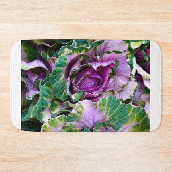 Item preview, Ornamental Pink Winter Cabbage designed and sold by BritishYank.