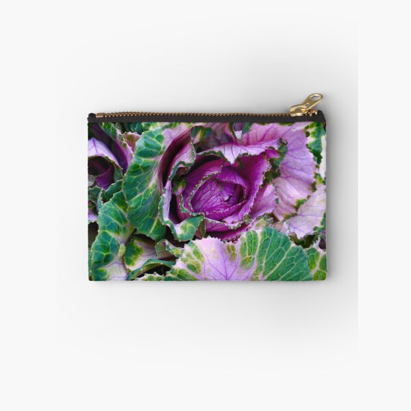 Item preview, Ornamental Pink Winter Cabbage designed and sold by BritishYank.