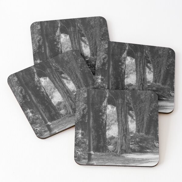 Item preview, Large Oak Trees B/W Photograph by Larry Simpson Photo taken in Mobile, AL designed and sold by simpson92.