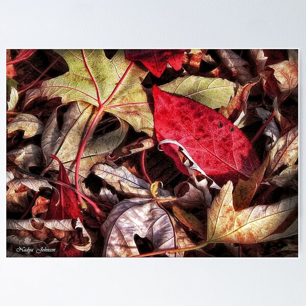 Item preview, Mosaic designed and sold by Claude Johnson.
