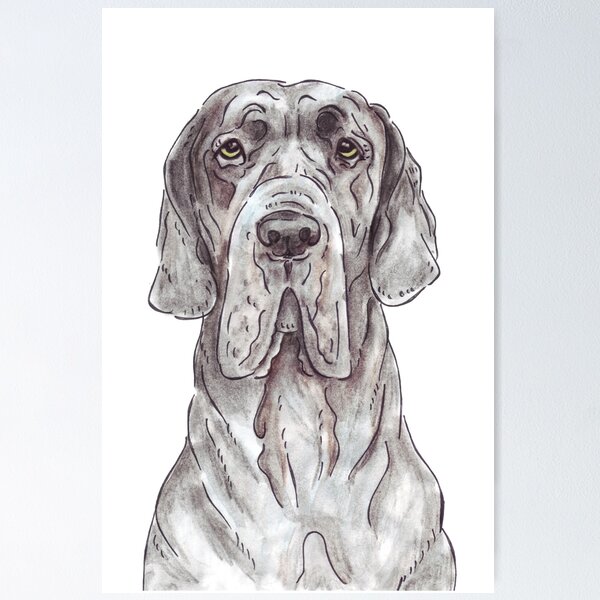 Item preview, BALOO doodle @baloo_the_blue_dane designed and sold by BridgetDoodles.