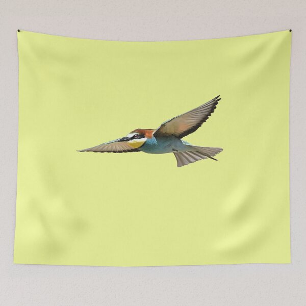 Item preview, A European Bee-Eater In Flight Cut Out designed and sold by taiche.
