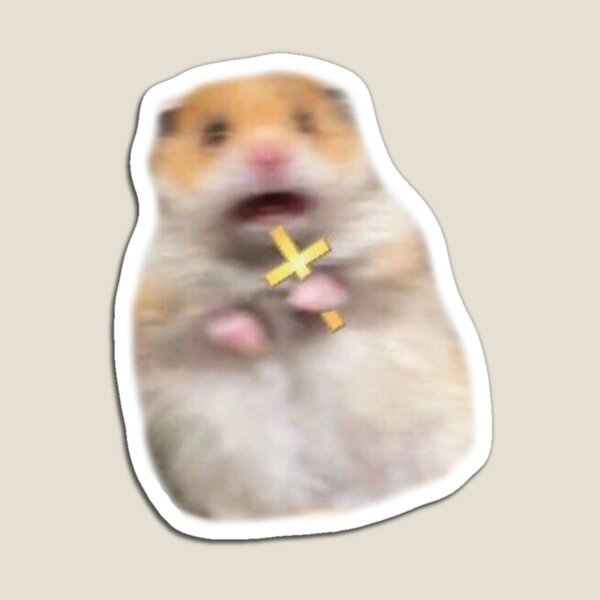 Aperçu de l'œuvre Crier hamster sacré créée et vendue par sedous1.