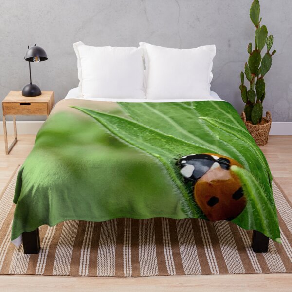 Aperçu de l'œuvre Une coccinelle dort créée et vendue par Douglas E. Welch Design and Photography.