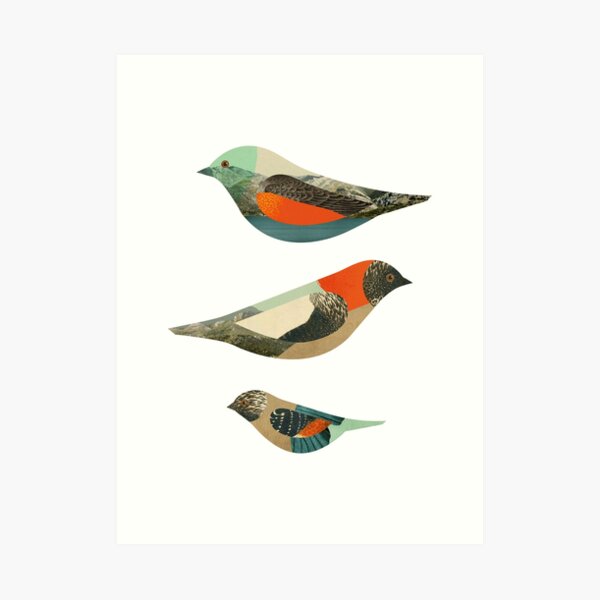 Three Birds Art Print