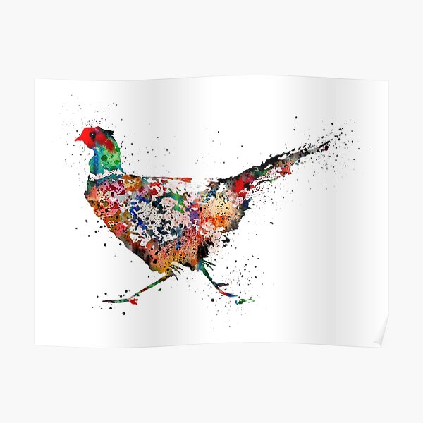 Pheasant, watercolor Pheasant Poster
