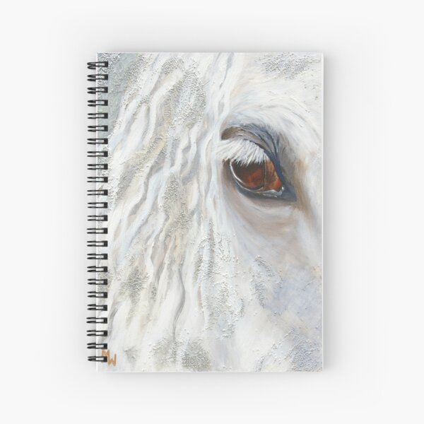 The Phantom Spiral Notebook
