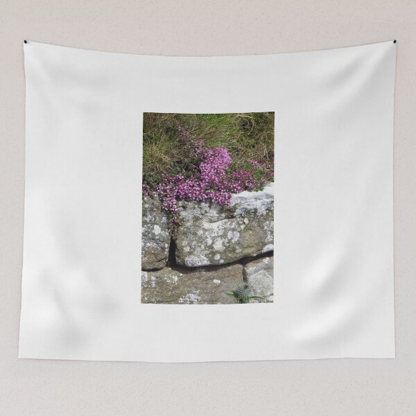 Item preview, Thyme - Hadrian's Wall designed and sold by wiggyofipswich.