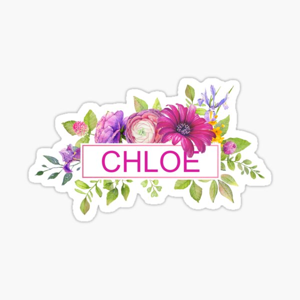 Pretty Pink Chloe Glossy Sticker