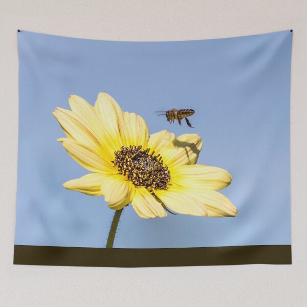 Item preview, Bee approaching Friday for future photo designed and sold by Katja LebenFreude.