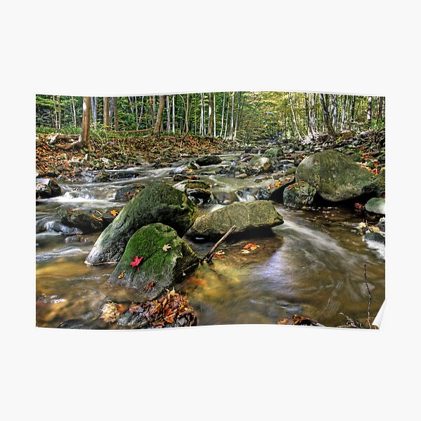 Snake Falls Creek Poster