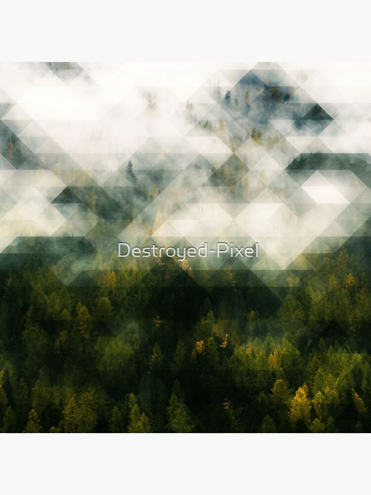 LowPoly Forest von Destroyed-Pixel