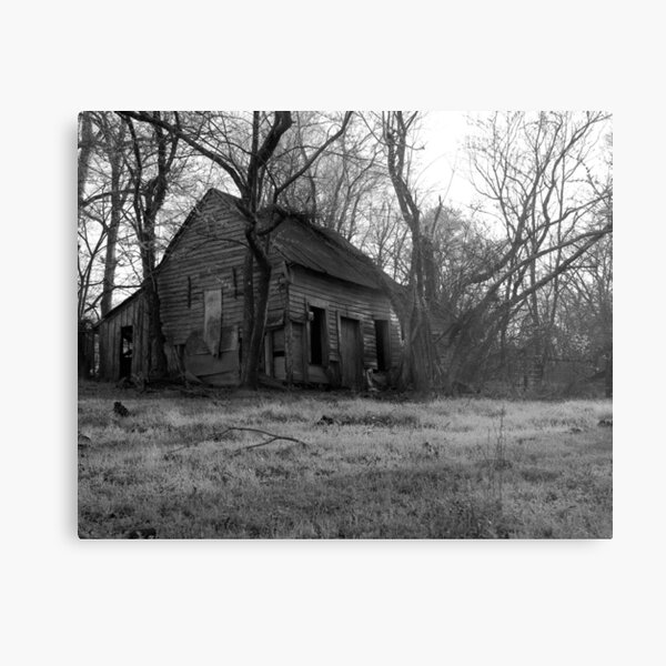 Swamp Shack - BW Metal Print