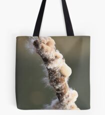 Typha latifolia with seeds Tote Bag