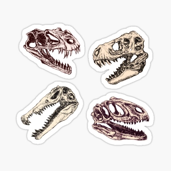 dinosaur skulls