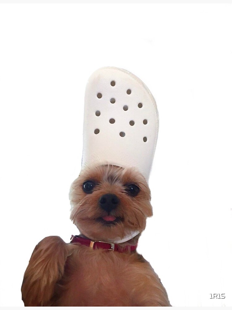 croc dog | Sticker