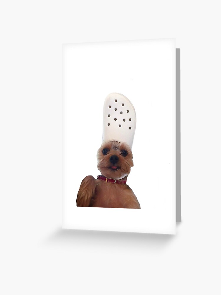 Tarjetas de felicitación «perro cocodrilo» de 1R1S | Redbubble