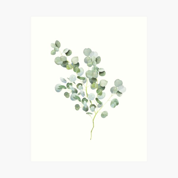 Aperçu de l'œuvre Aquarelle de brindilles d'eucalyptus d'Australie créée et vendue par ArtLab9.