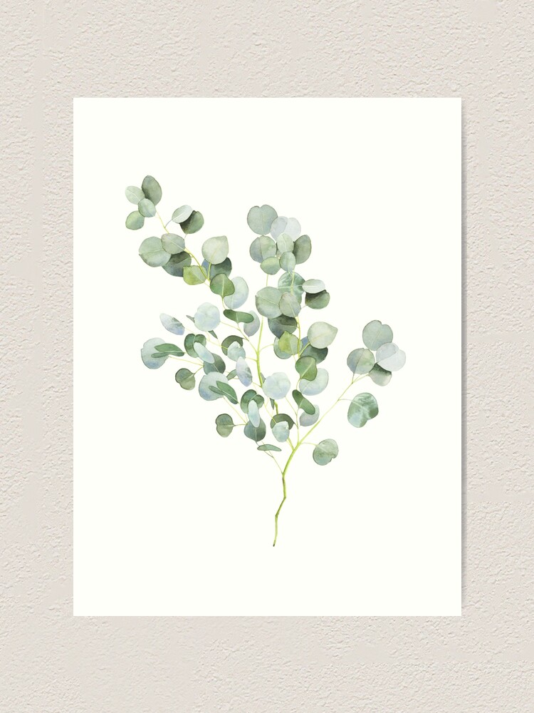 Alternate view of Australian Eucalyptus Twig Watercolor Art Print