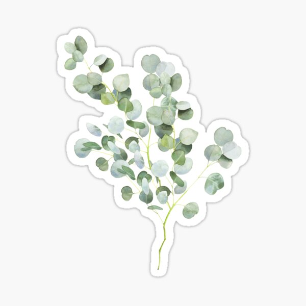 Australian Eucalyptus Twig Watercolor Sticker