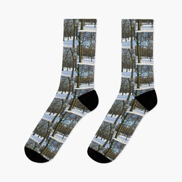 Item preview, Central Park designed and sold by HSPhotography.