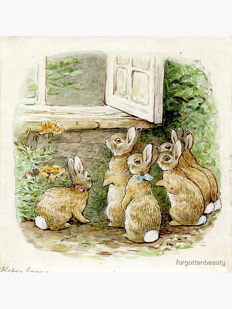 beatrix potter the tale of the flopsy bunnies