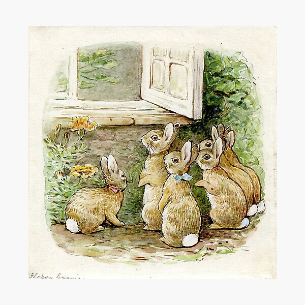 Théière solitaire anglaise Peter Rabbit