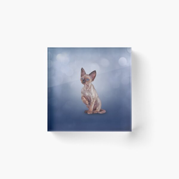 Item preview, Drawing cat Cornish Rex designed and sold by bonidog.