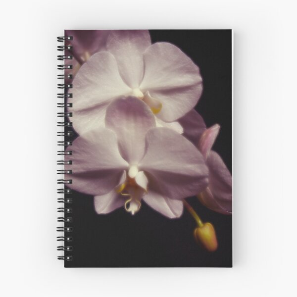 Item preview, Orchids designed and sold by Duran Blakeley Photography.