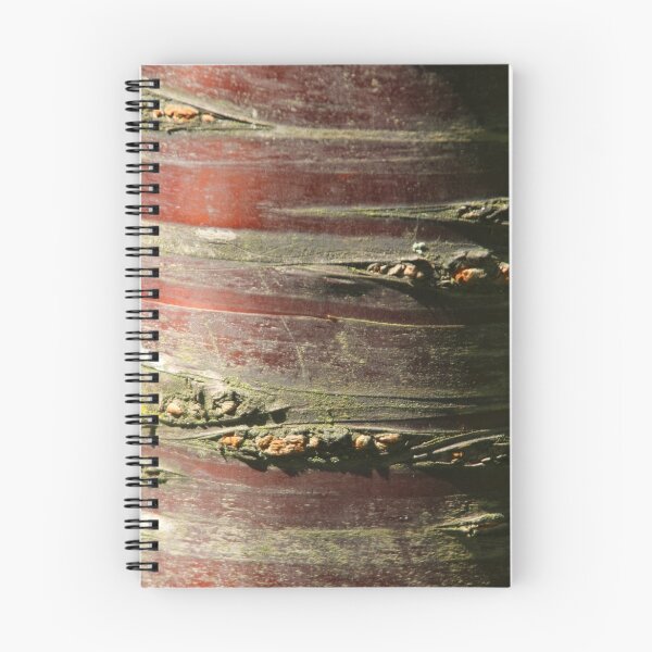Aperçu de l'œuvre tree bark créée et vendue par Jonesyinc.