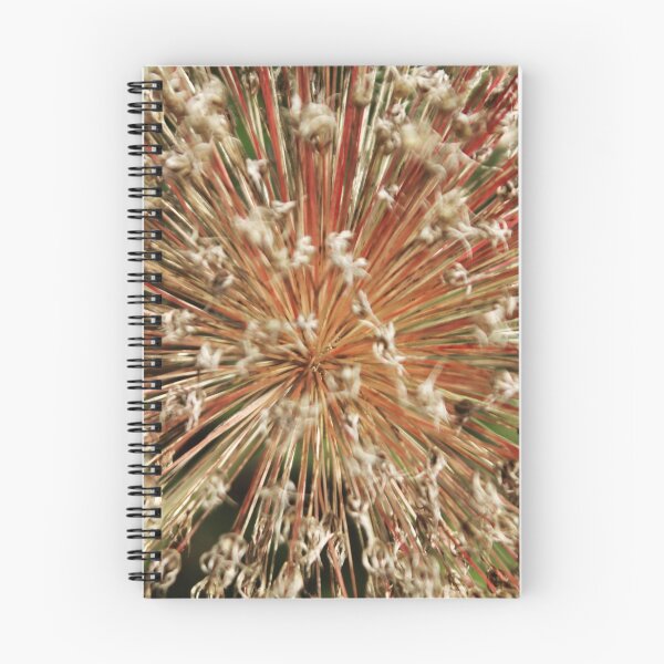 Item preview, seed head designed and sold by Jonesyinc.