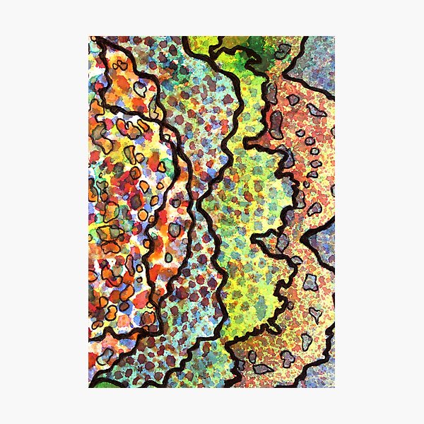 11, Inset A Photographic Print