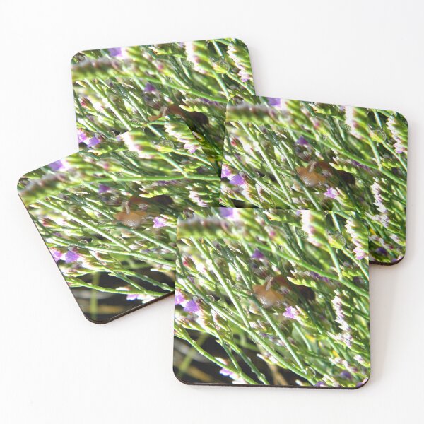 Item preview, Peekaboo designed and sold by NatureRaven.