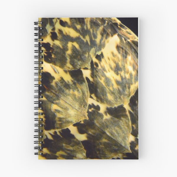 Item preview, Sea Turtle Shell Pattern designed and sold by Duran Blakeley Photography.