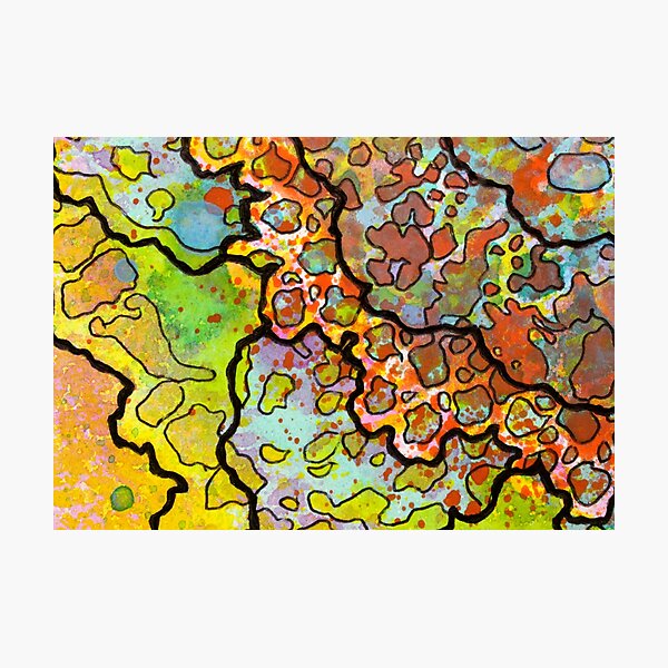 13, Inset A Photographic Print