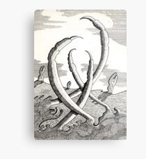 161 - CLAWS VEGETATION - DAVE EDWARDS - INK - 1988 Metal Print