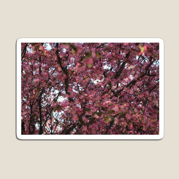 Artikelvorschau, Pinke Blumen entworfen und verkauft von unclecracker.