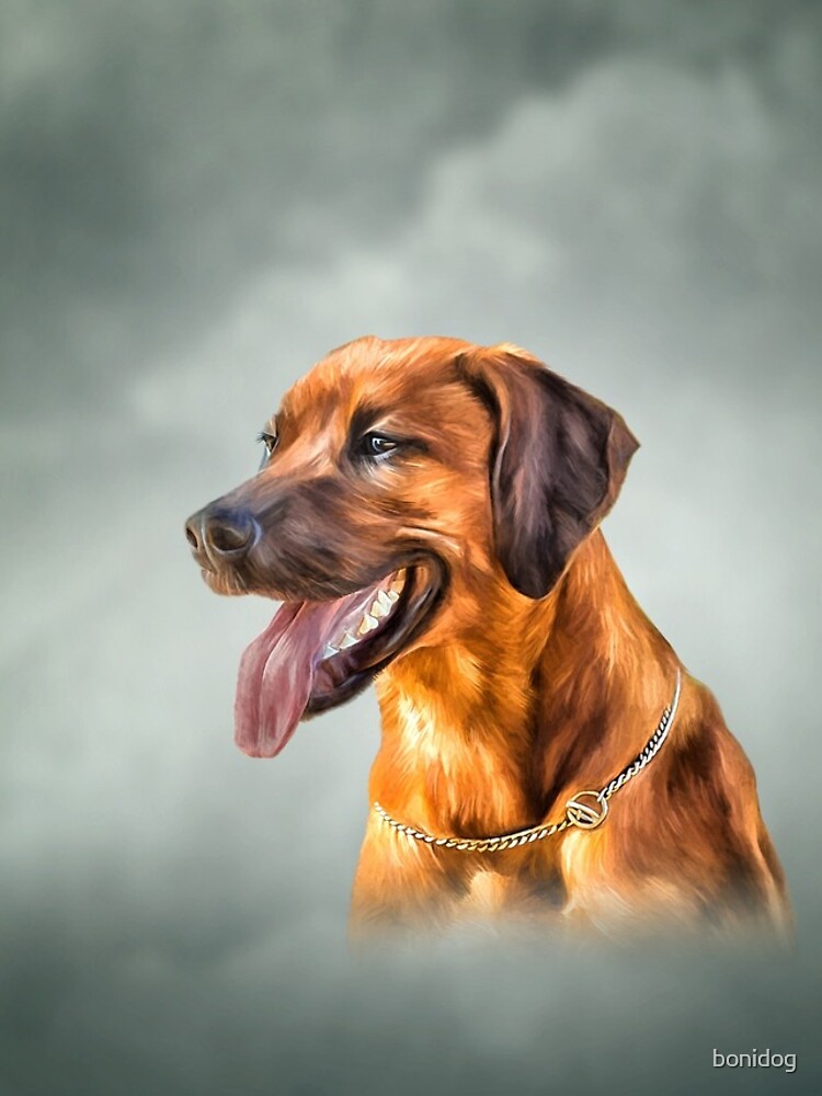 Thumbnail 4 of 4, iPhone Case, Drawing Rhodesian Ridgeback designed and sold by bonidog.