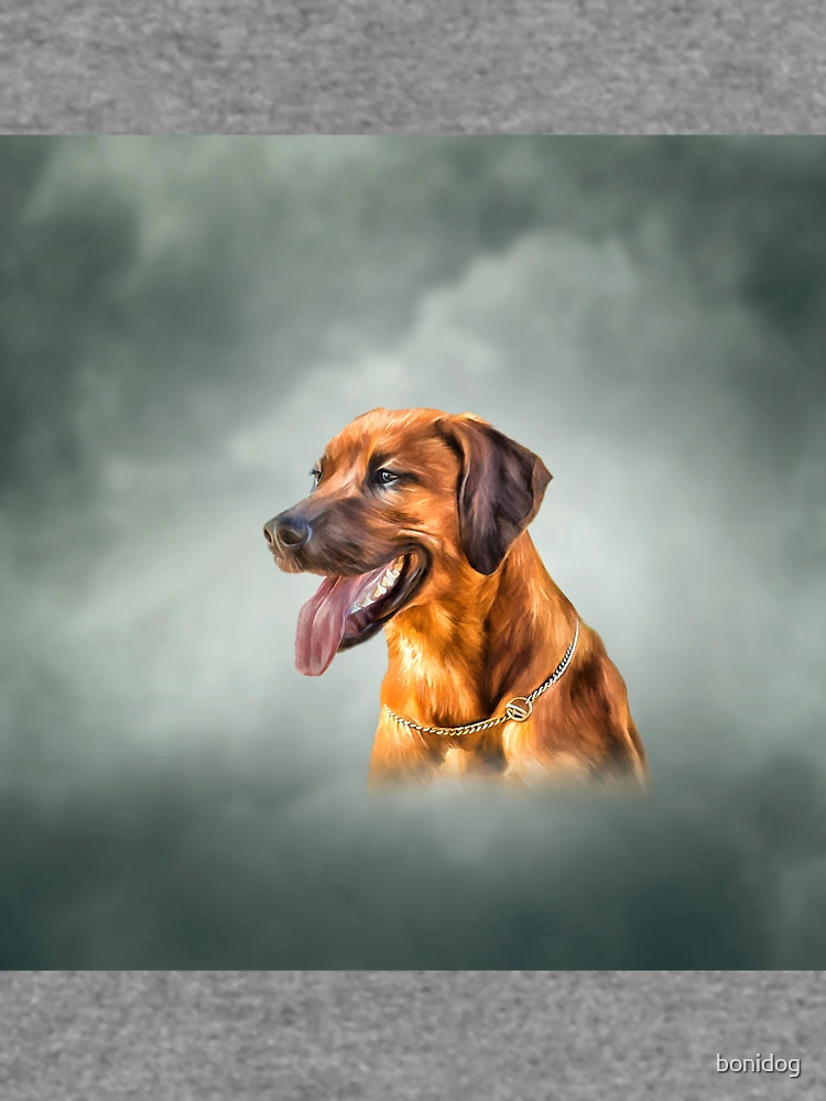 Thumbnail 6 of 6, Lightweight Sweatshirt, Drawing Rhodesian Ridgeback designed and sold by bonidog.