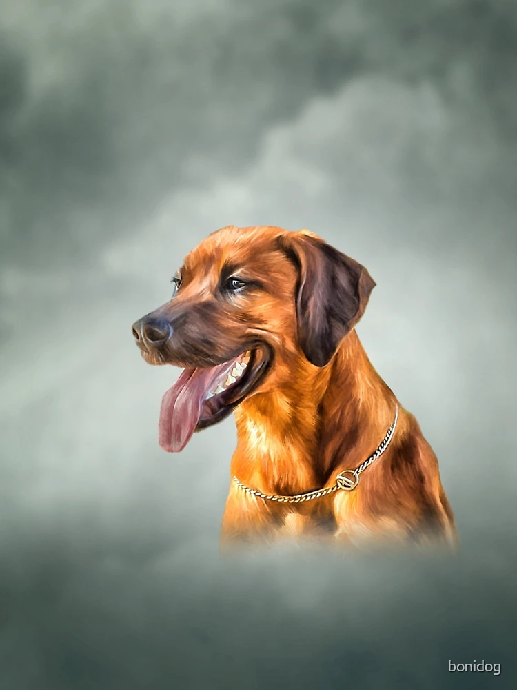 Thumbnail 5 of 5, A-Line Dress, Drawing Rhodesian Ridgeback designed and sold by bonidog.