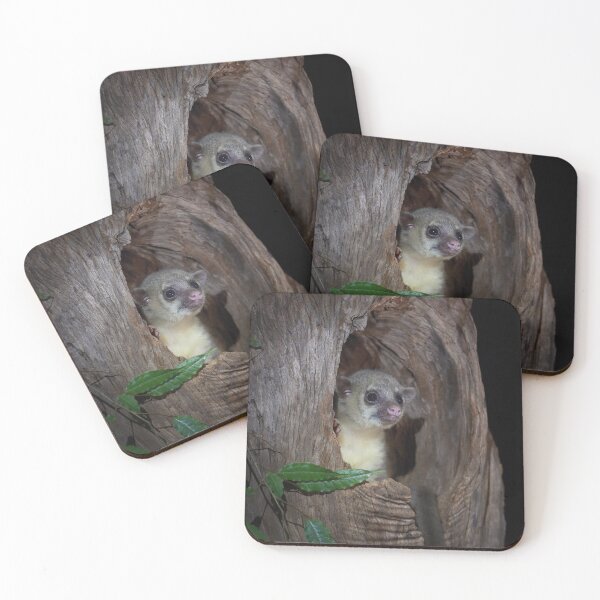 Item preview, Kinkajou designed and sold by mlorenz.