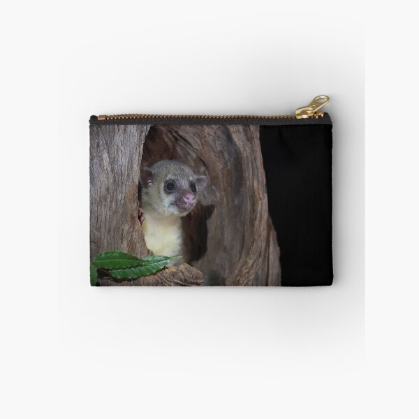 Item preview, Kinkajou designed and sold by mlorenz.