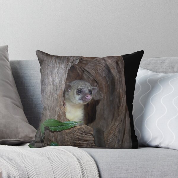 Item preview, Kinkajou designed and sold by mlorenz.